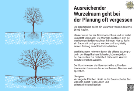 Ausreichender Wurzelraum geht oft vergessen