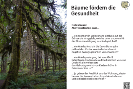 Bäume fördern die Gesundheit