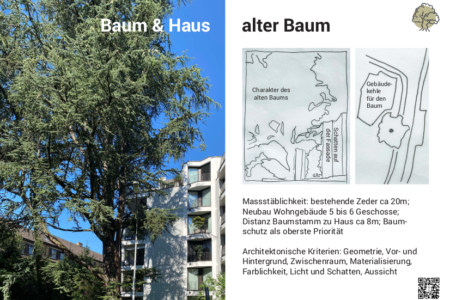 Baum & Haus: Alter Baum