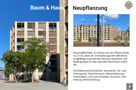 Baum&Haus: Neupflanzung