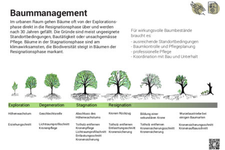 Baummanagement