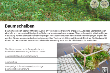 Baumscheiben