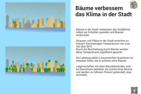 Bäume verbessern das Klima in der Stadt