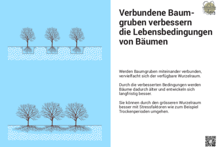 Verbundene Baumscheiben