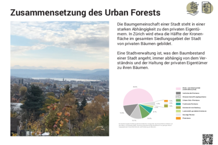 Zusammensetzung des Urban Forests